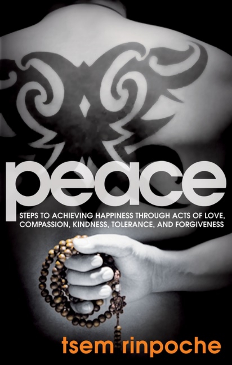 Picture of Peace - steps to achieving happiness through acts of love, compassion, kind