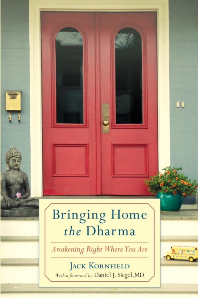 Picture of Bringing home the dharma - awakening right where you are