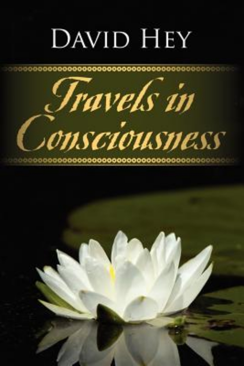 Picture of Travels in Consciousness