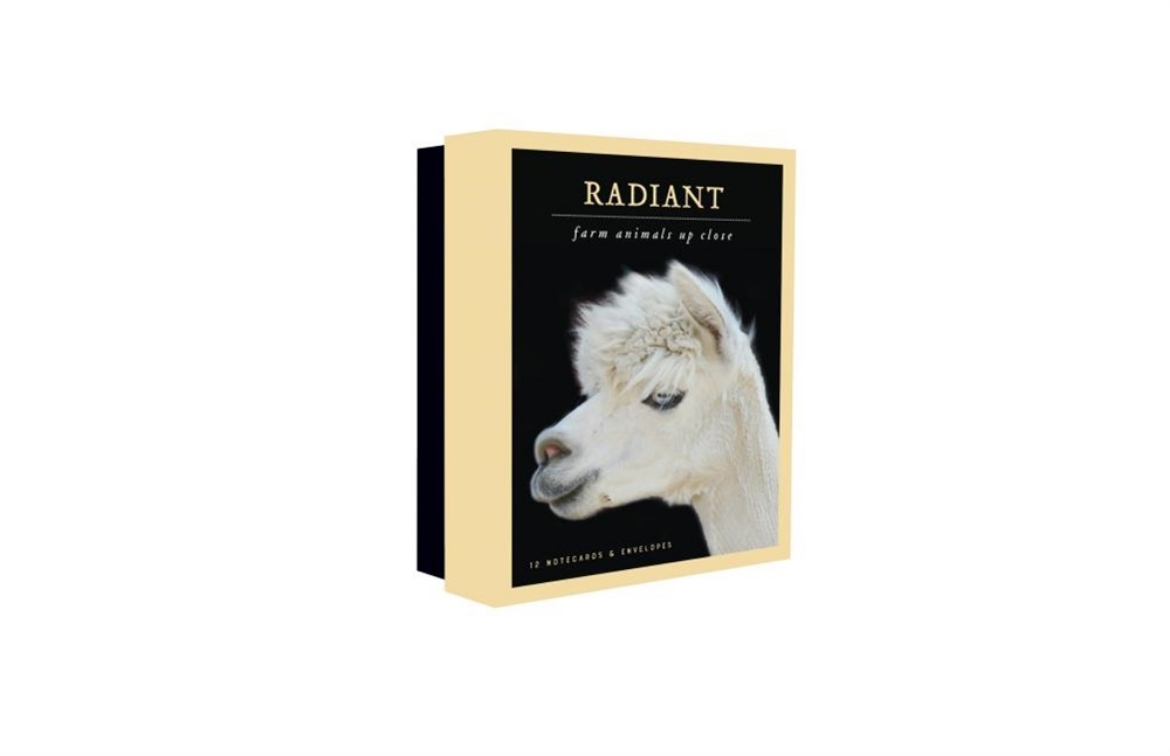 Picture of Radiant Notecards