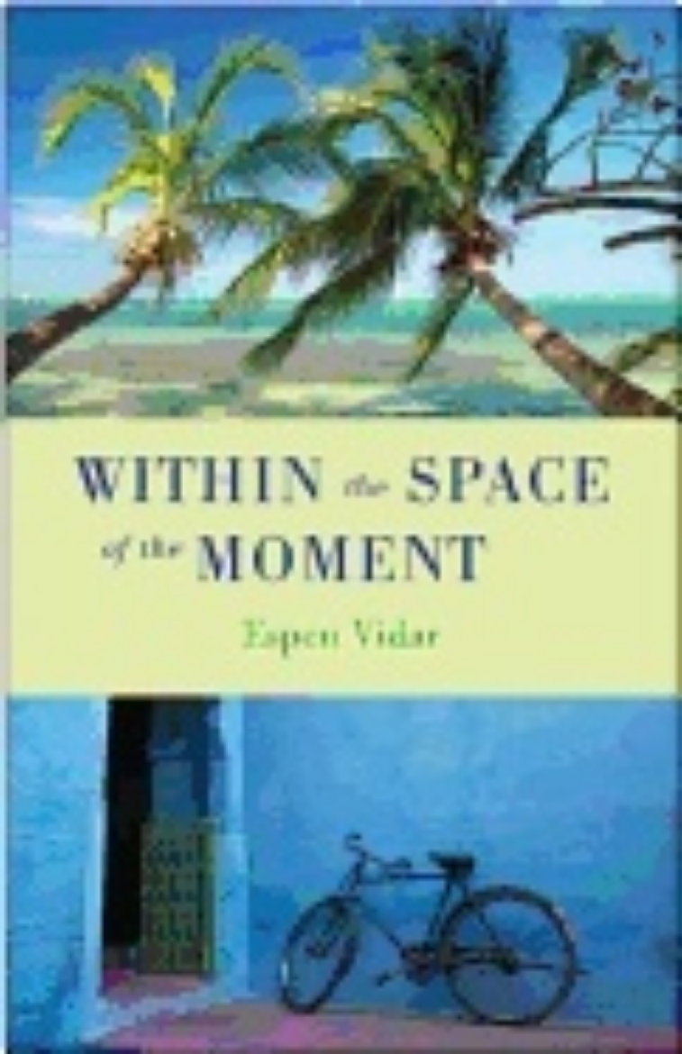 Picture of Within The Space Of The Moment : A Spiritual Novel