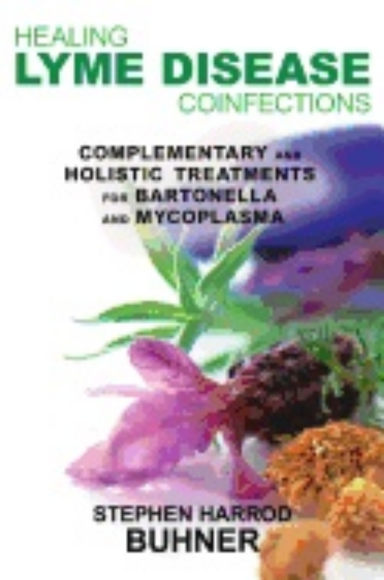 Picture of Healing lyme disease coinfections - complementary and holistic treatments f