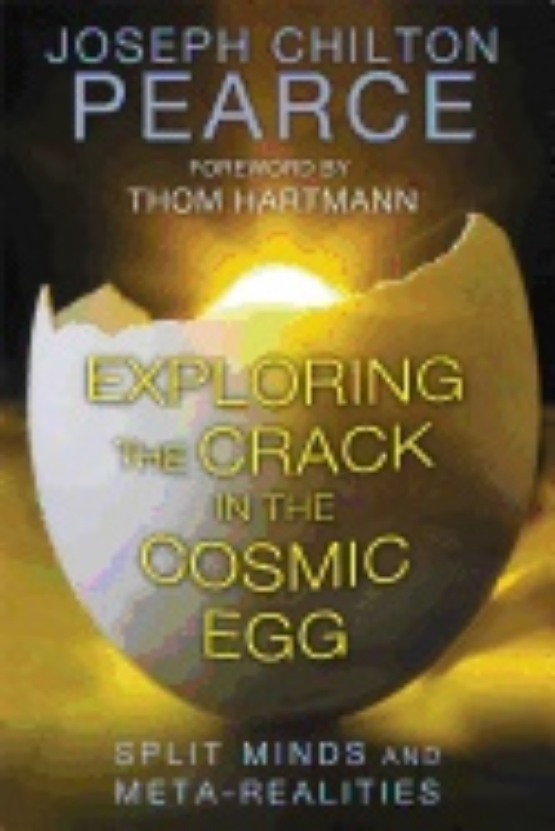 Picture of Exploring The Crack In The Cosmic Egg : Split Minds and Meta-Realities