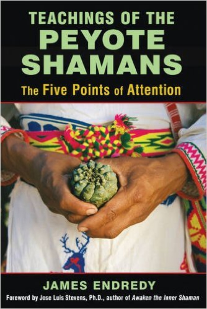 Picture of Teachings of the Peyote Shamans: The Five Points of Attention