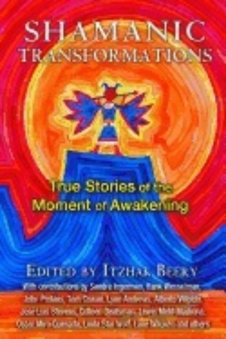 Picture of Shamanic transformations - true stories of the moment of awakening