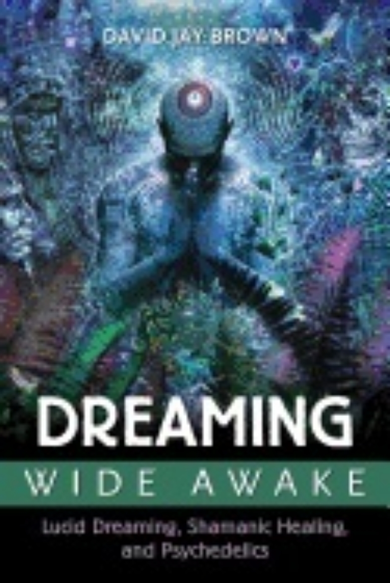 Picture of Dreaming wide awake - lucid dreaming, shamanic healing, and psychedelics