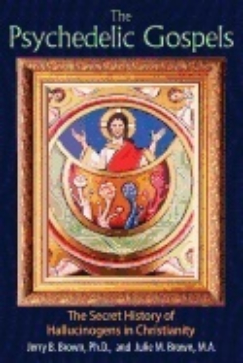 Picture of Psychedelic gospels - the secret history of hallucinogens in christianity