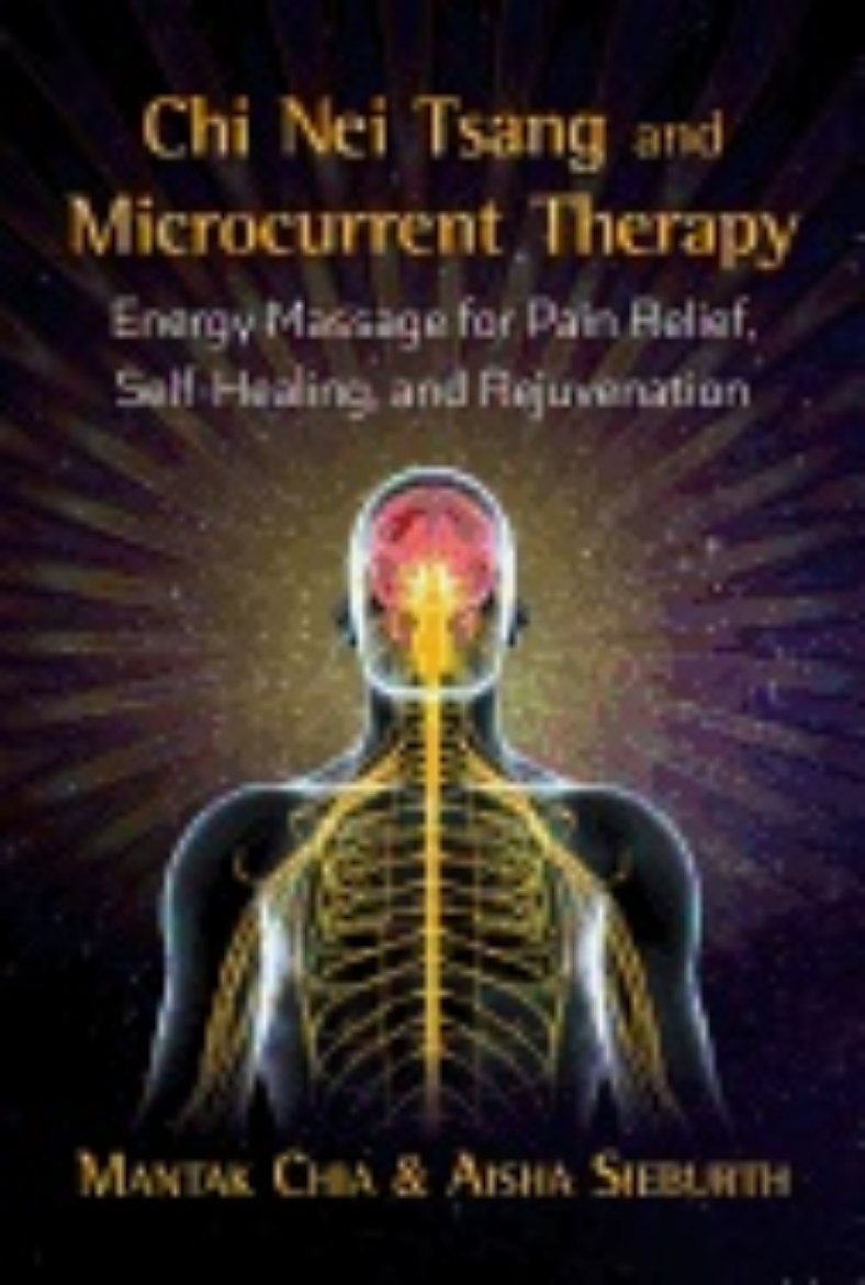 Picture of Chi nei tsang and microcurrent therapy - energy massage for pain relief, se