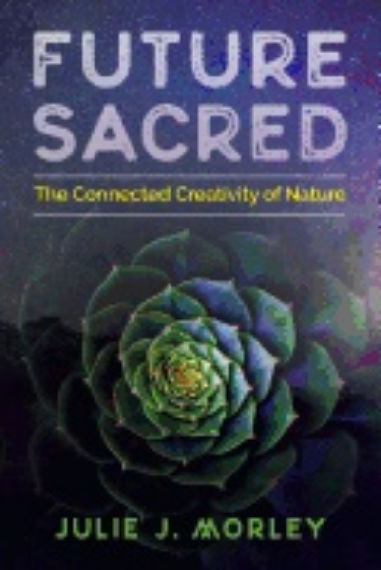 Picture of Future Sacred : The Connected Creativity of Nature