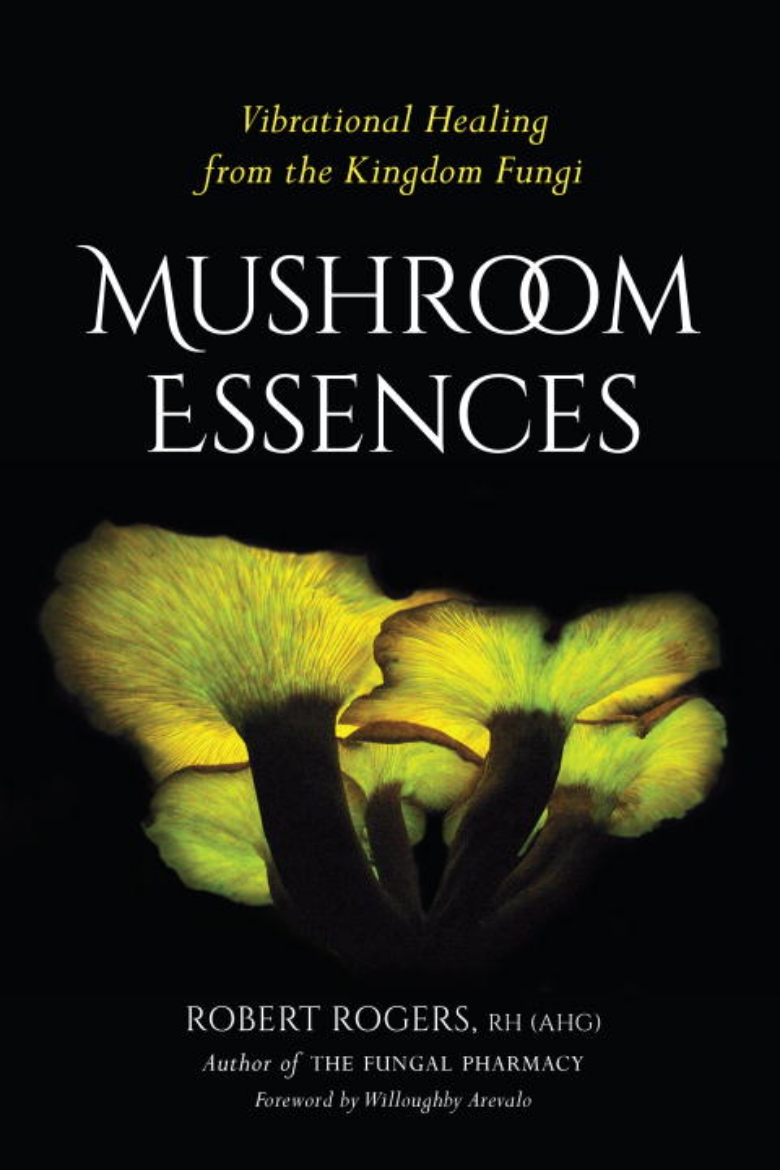 Picture of Mushroom essences - vibrational healing from the kingdom fungi