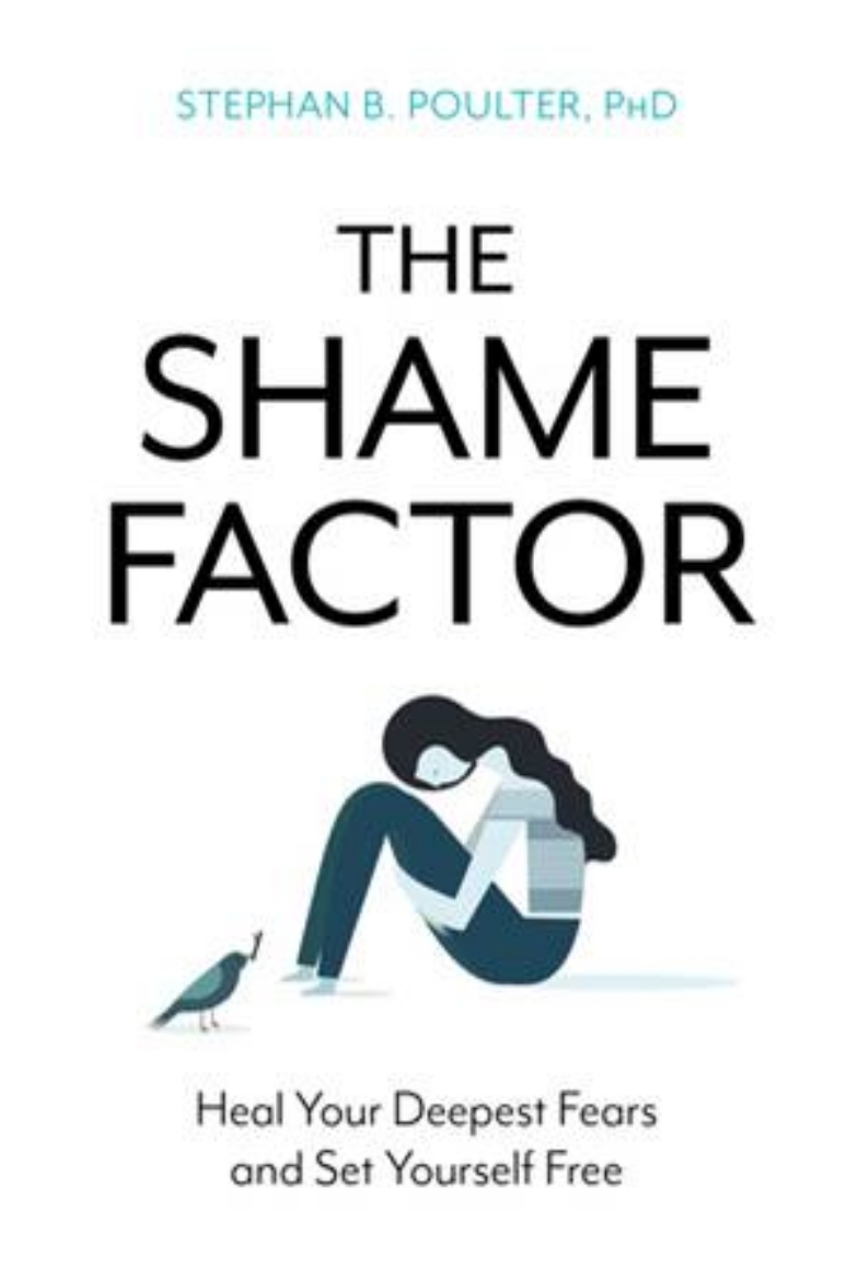 Picture of The Shame Factor