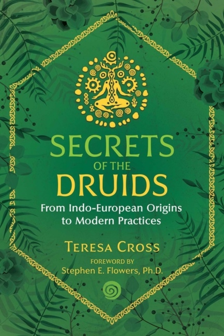 Picture of Secrets Of The Druids