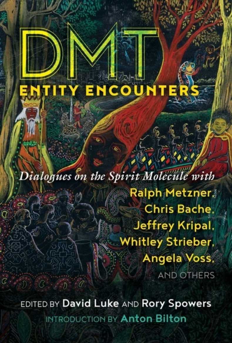 Picture of Dmt Entity Encounters