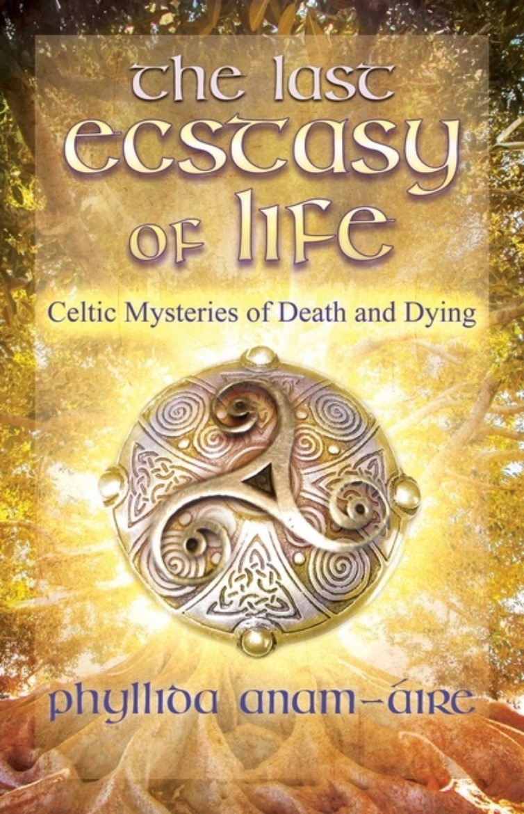 Picture of Last Ecstacy Of Life : Celtic Mysteries of Death and Dying