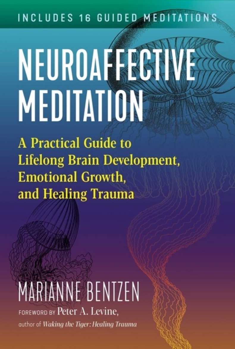 Picture of Neuroaffective Meditation