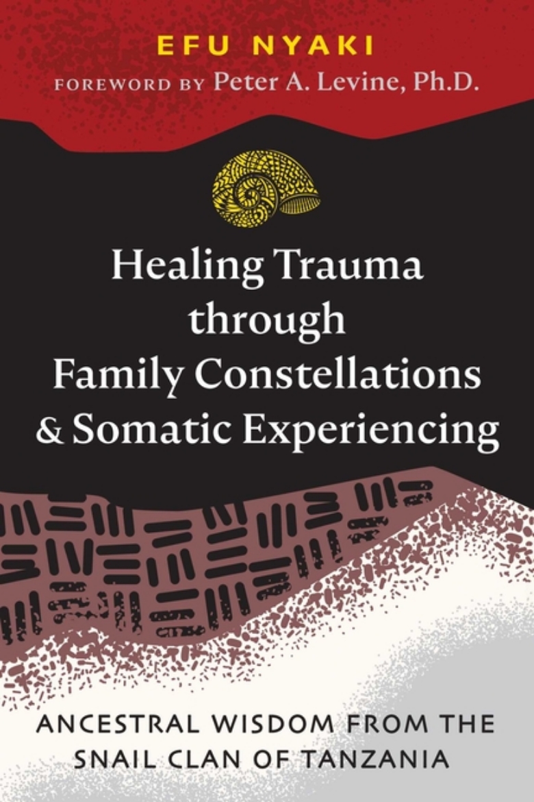 Picture of Healing Trauma Through Family Constellations And Somatic Exp
