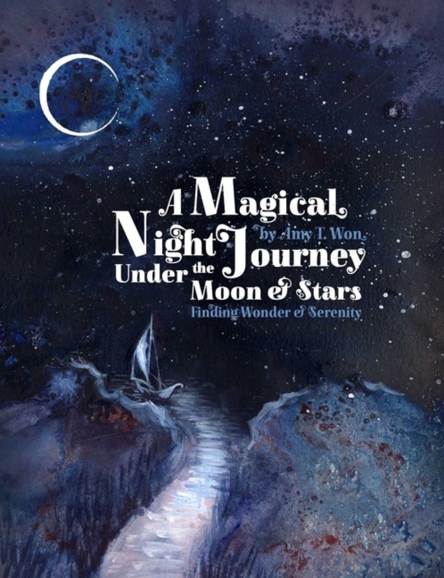Picture of A Magical Night Journey Under the Moon and Stars