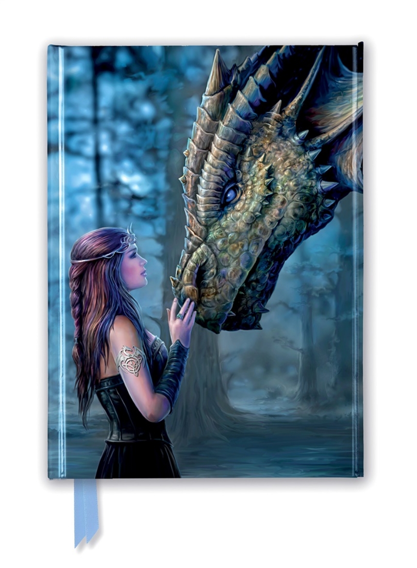 Picture of Anne Stokes: Once Upon a Time (Foiled Journal)