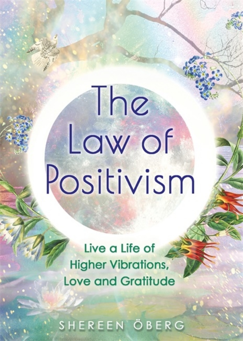 Picture of The Law of Positivism