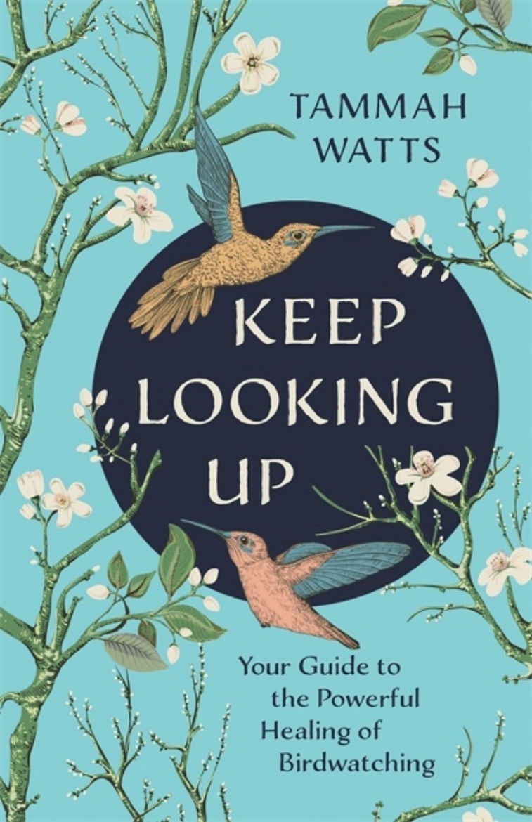 Picture of Keep Looking Up