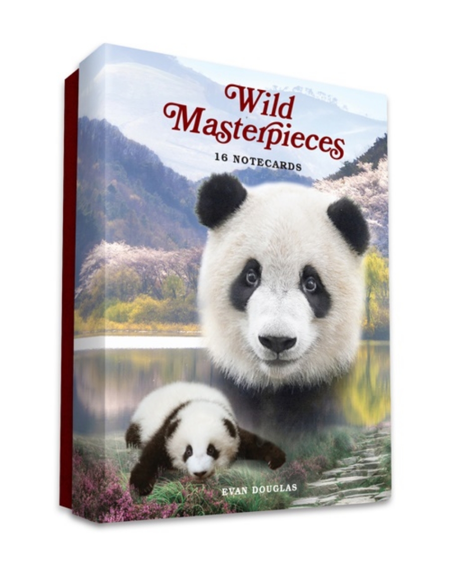 Picture of Wild Masterpieces Notecards