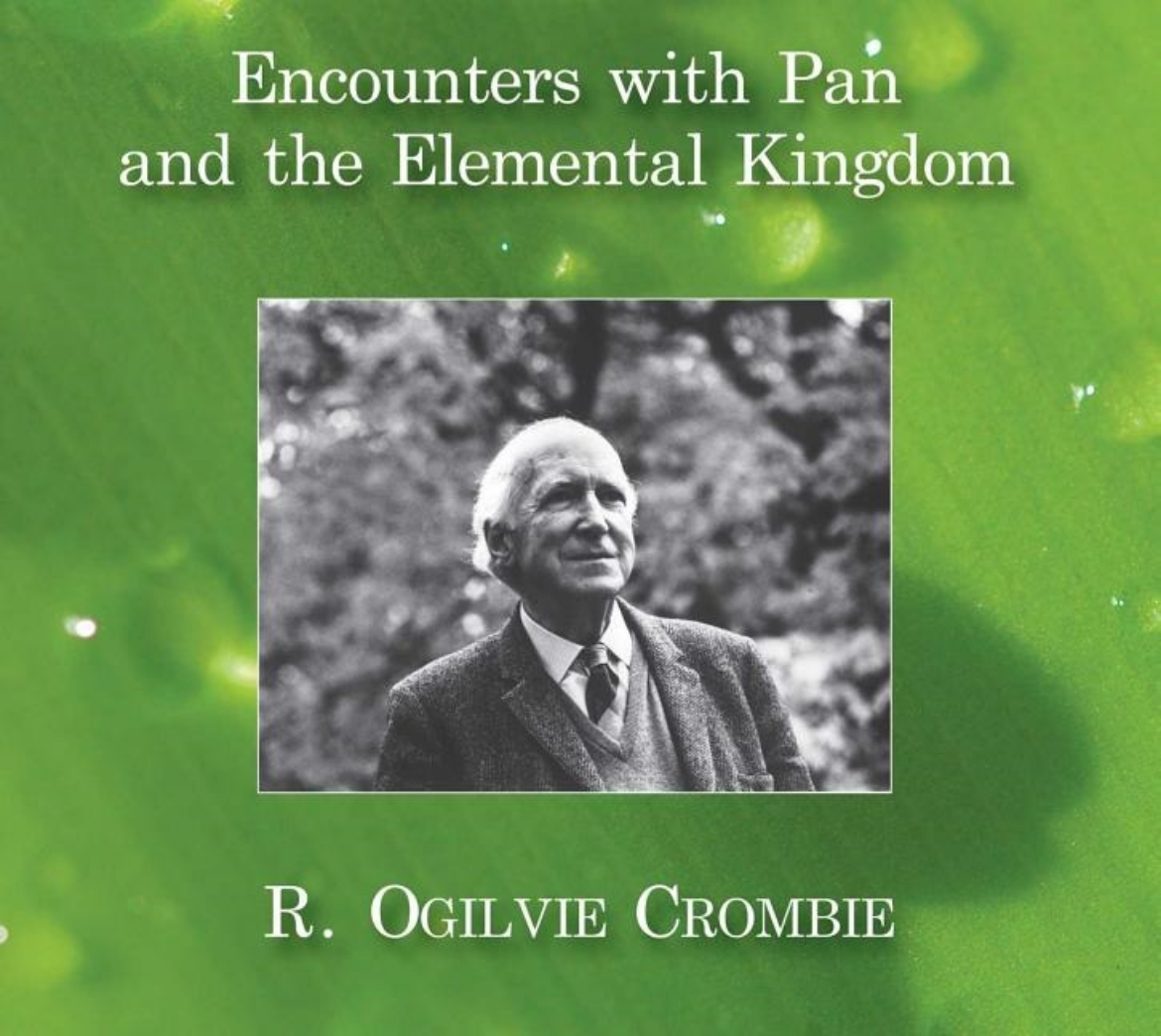 Picture of Encounters With Pan And The Elemental Kingdom (2 Cd)