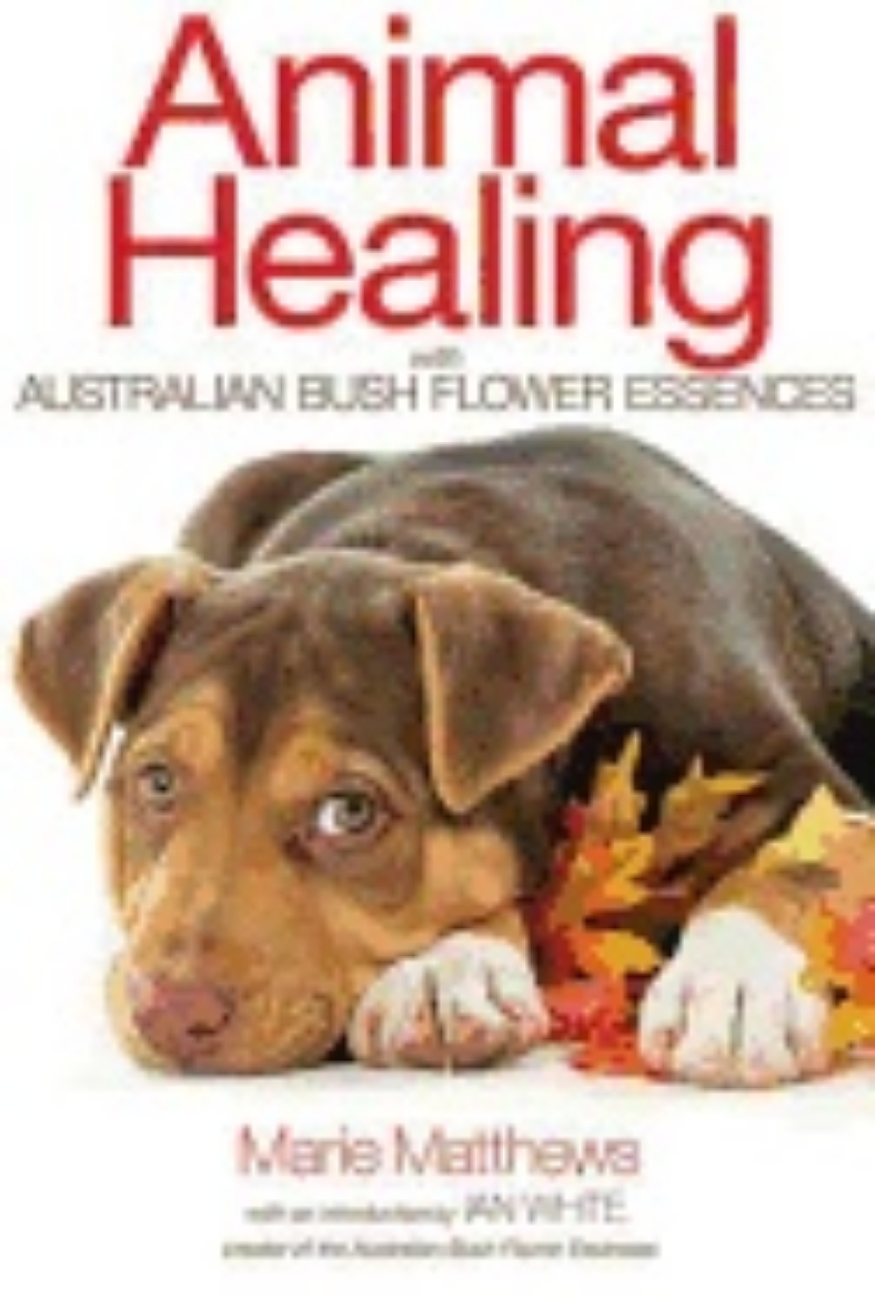 Picture of Animal healing with australian bush flower essences