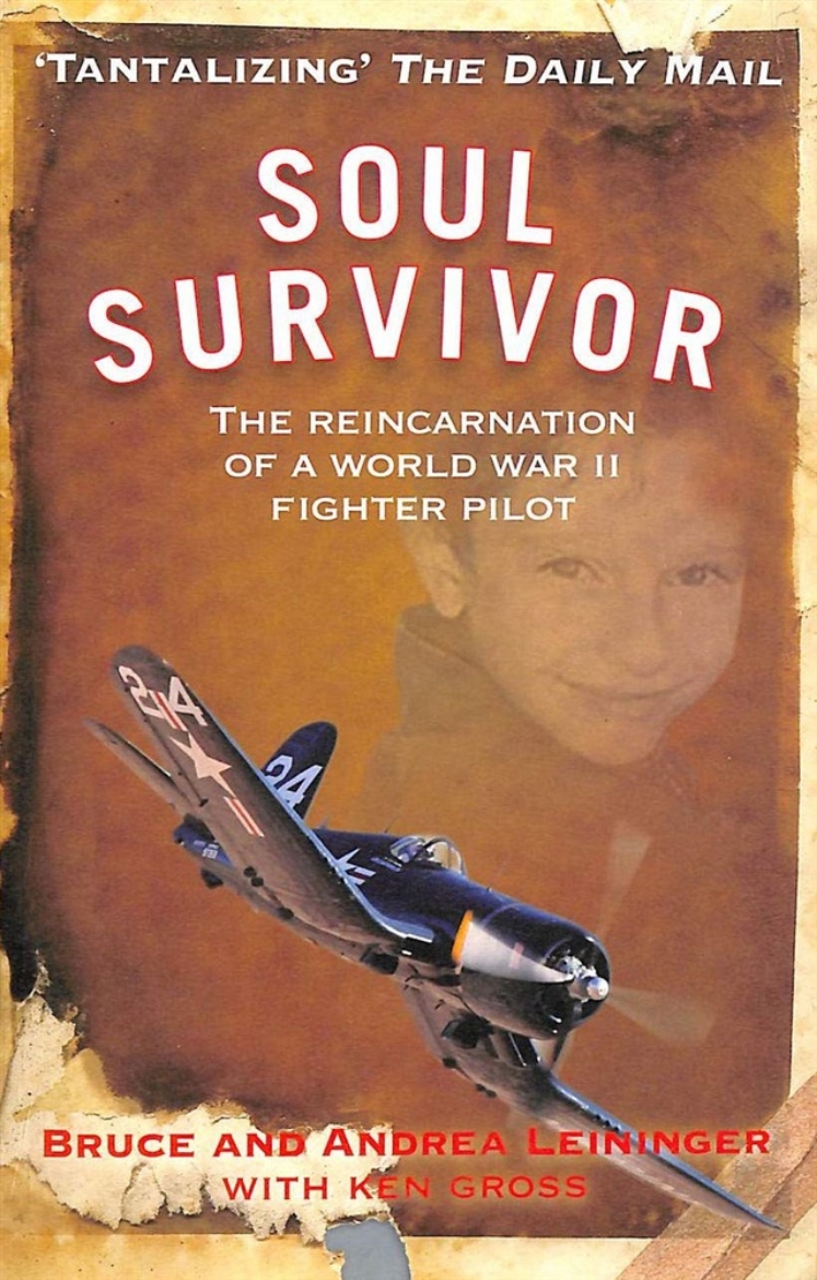 Picture of Soul survivor - the reincarnation of a world war ii fighter pilot