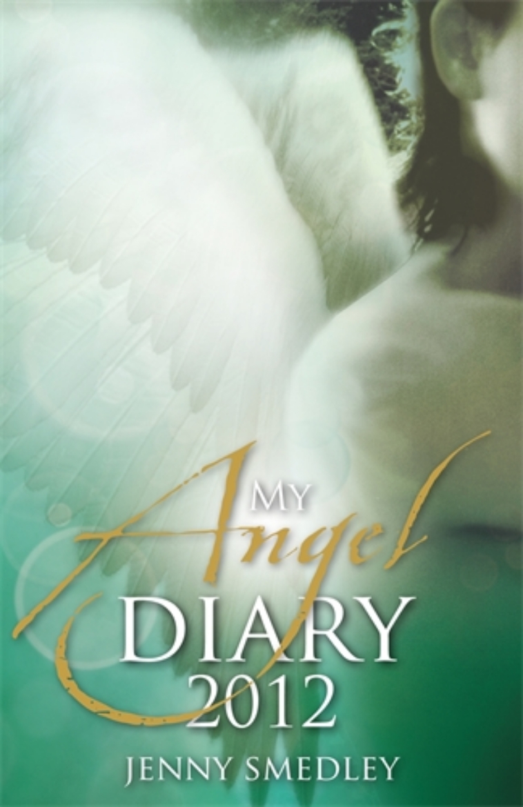 Picture of My Angel Diary 2012