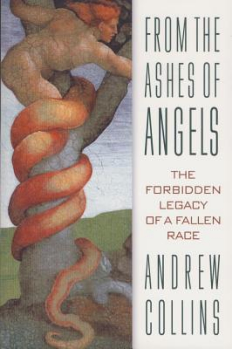 Picture of From The Ashes Of Angels: The Forbidden Legacy Of A Fallen R