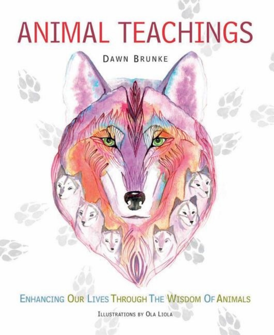 Picture of Animal teachings - enhancing our lives through the wisdom of animals