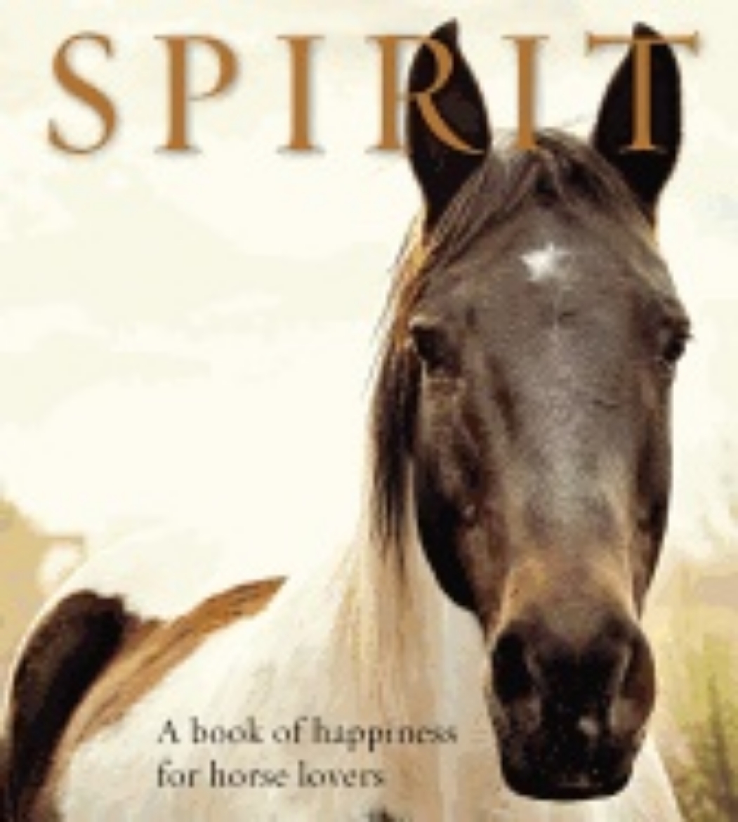 Picture of Spirit : A Book of Happiness for Horse Lovers