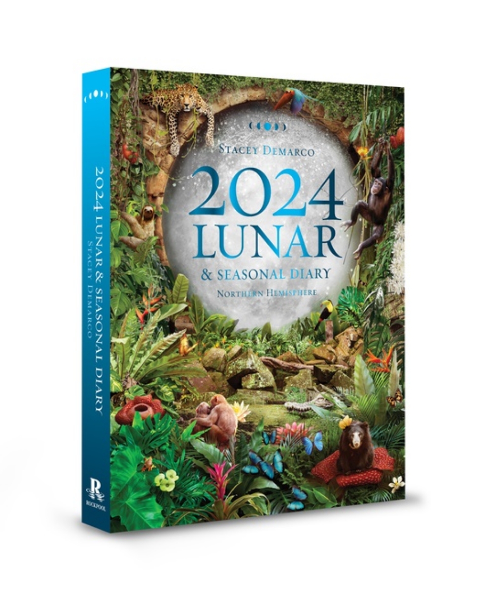 Picture of 2024 Lunar and Seasonal Diary : Northern Hemisphere