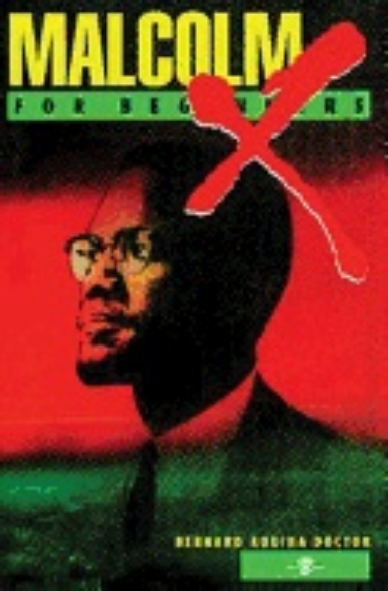 Picture of Malcolm x for beginners malcom x for beginners