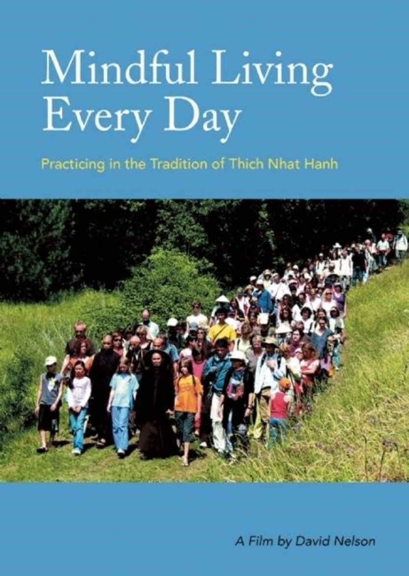 Picture of Mindful Living Every Day: Practicing In The Tradition Of Thich Nhat Hanh (120 Min Dvd)