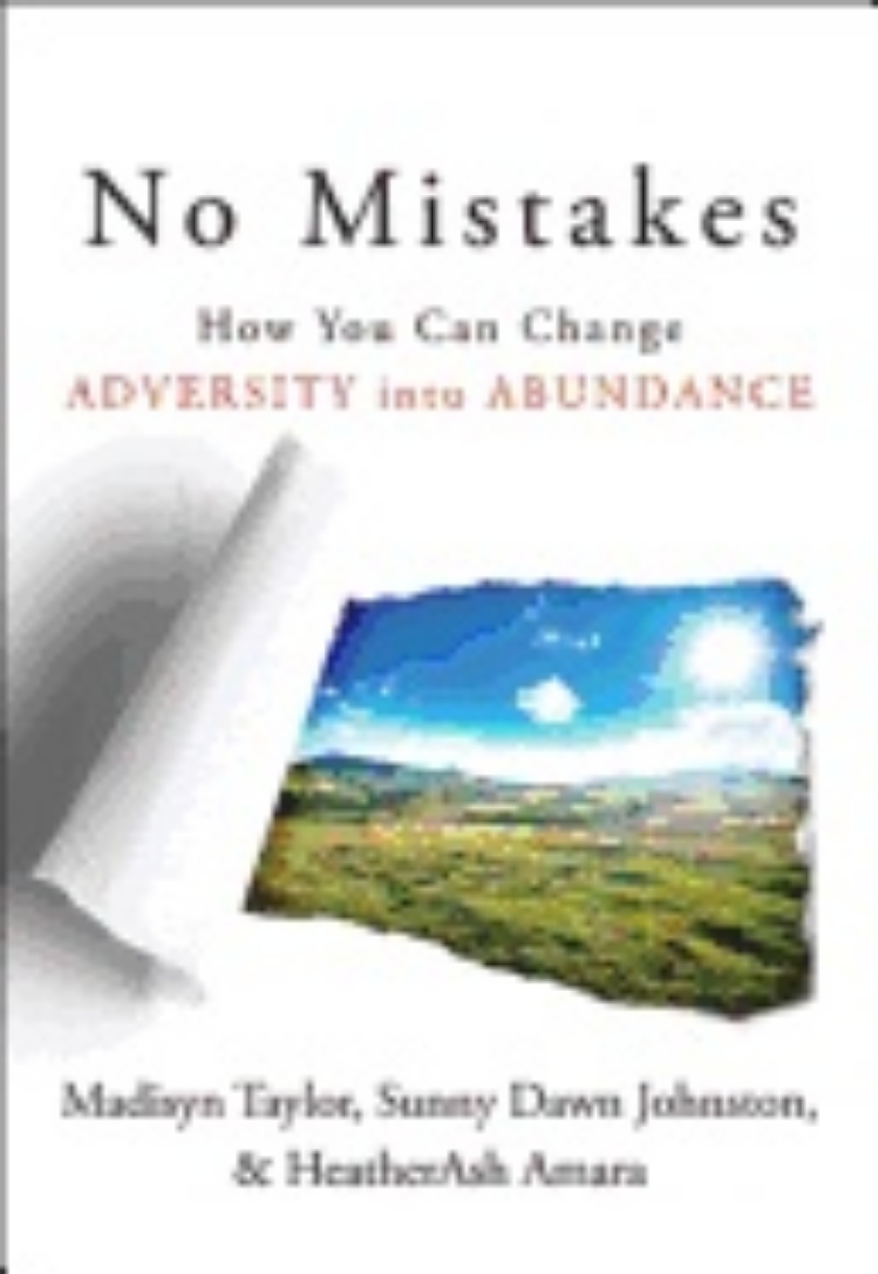 Picture of No Mistakes : How You Can Change Adversity into Abundance