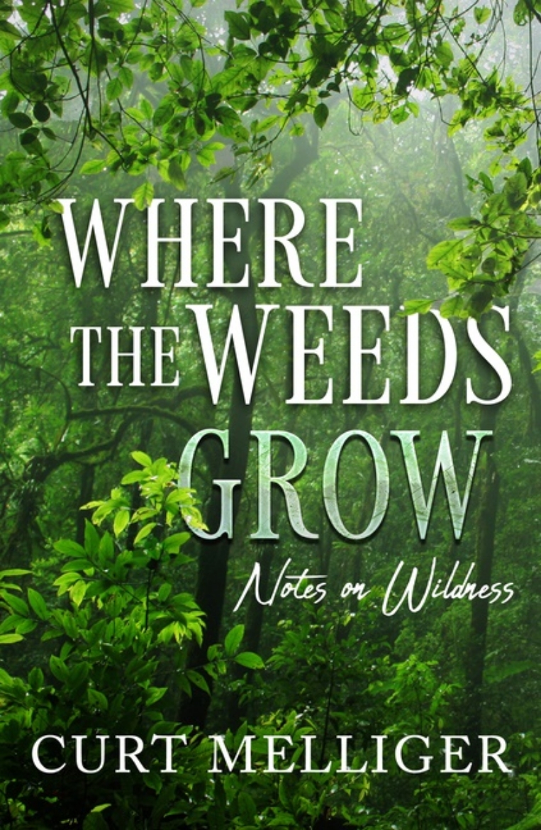 Picture of Where The Weeds Grow : Notes on Wildness