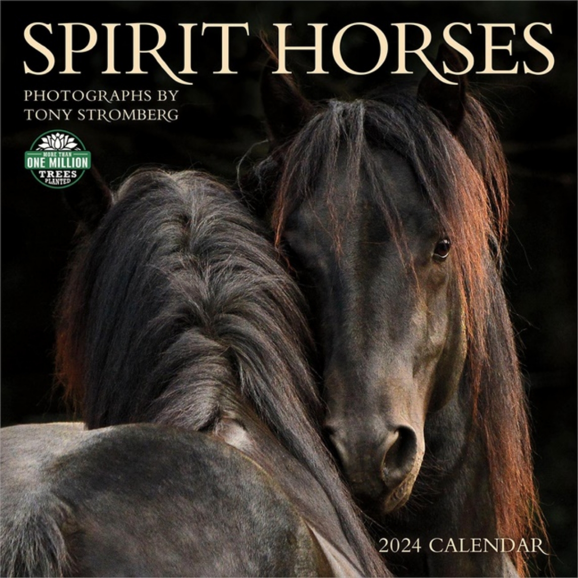 Picture of Spirit Horses 2024 Calendar : 