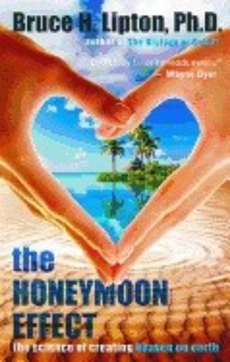 Picture of The Honeymoon Effect : The Science Of Creating Heaven On Earth