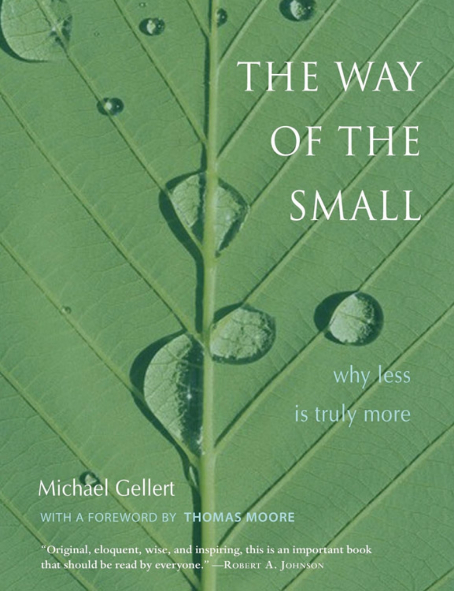 Picture of Way Of The Small: Why Less Is More