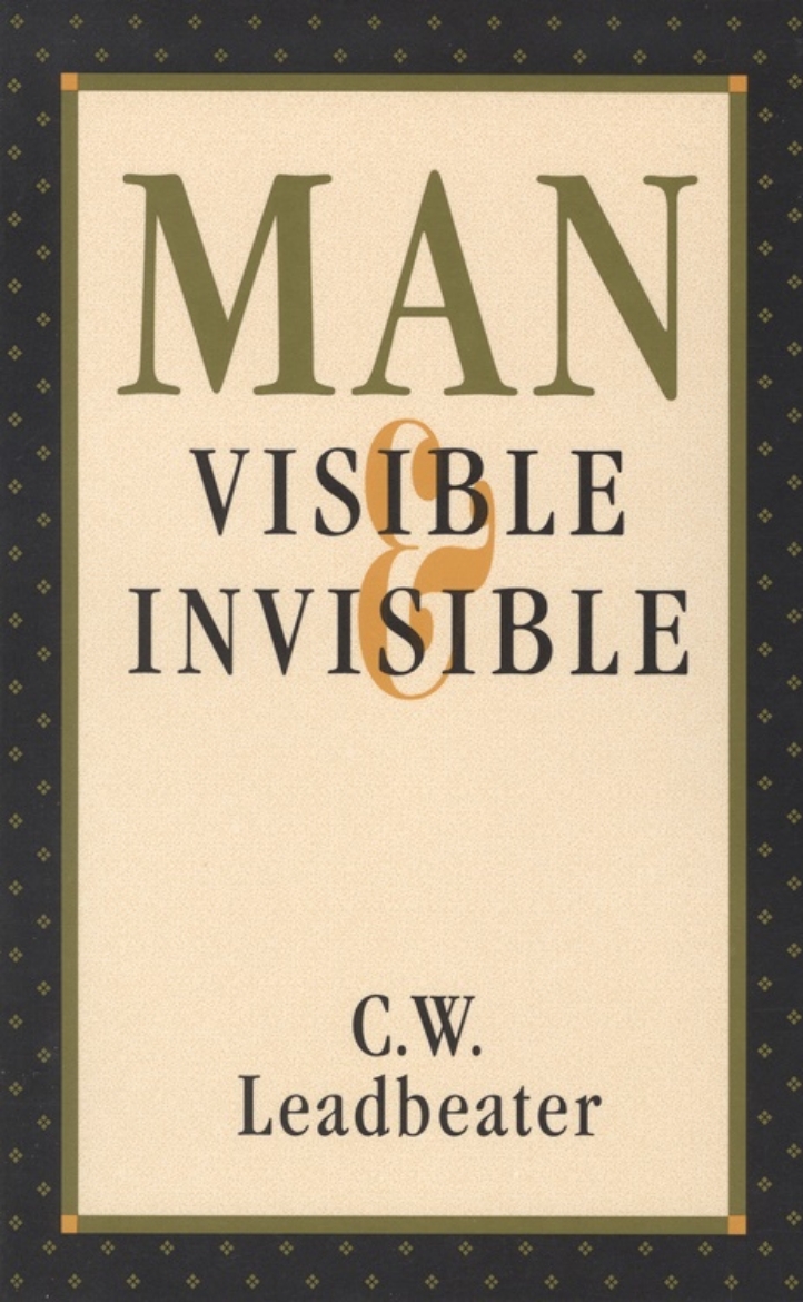 Picture of Man, Visible And Invisible