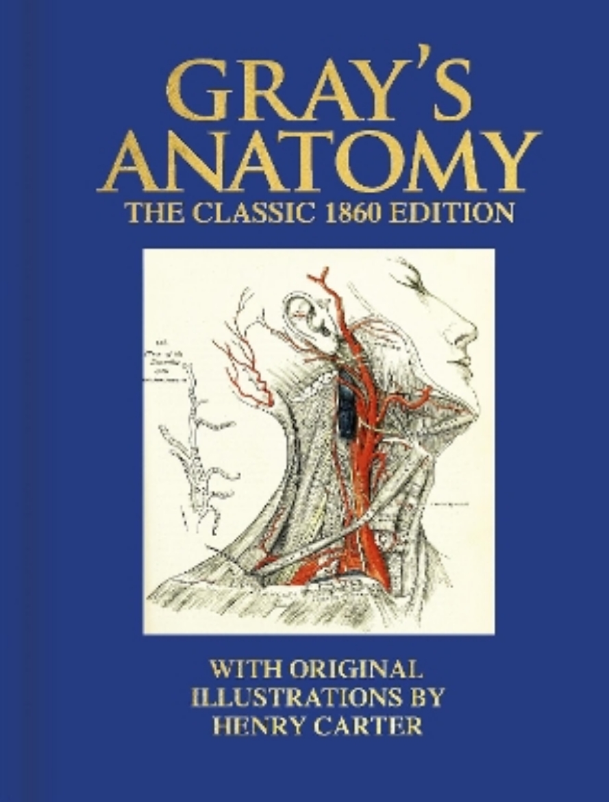 Picture of Gray's Anatomy