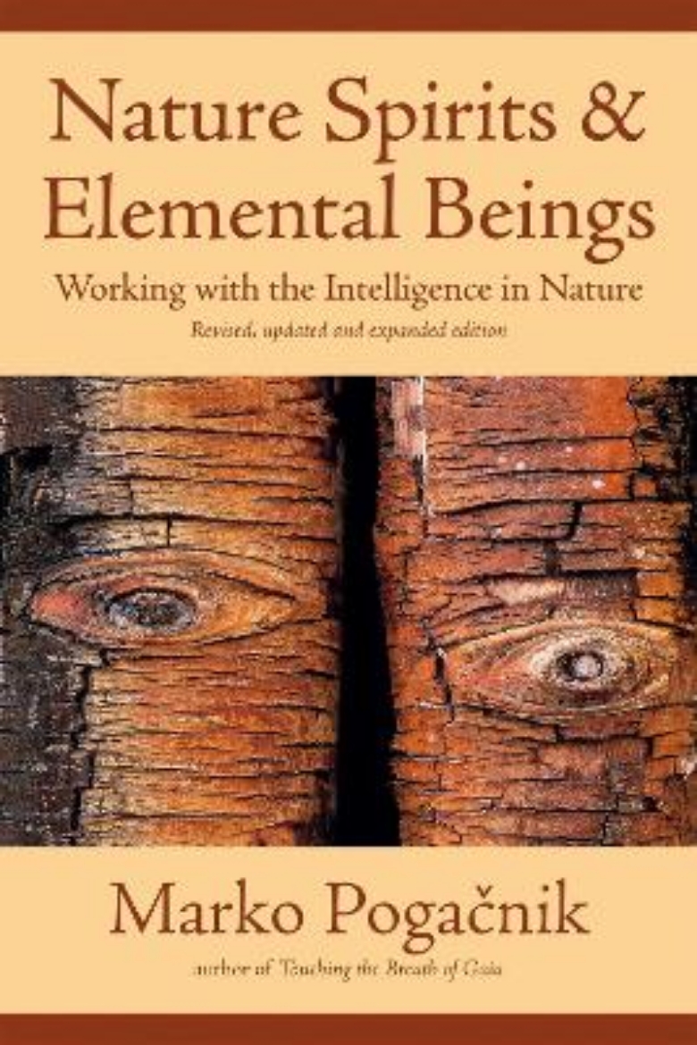 Picture of Nature Spirits And Elemental Beings: Working With The Intelligence In Nature (New Edition)