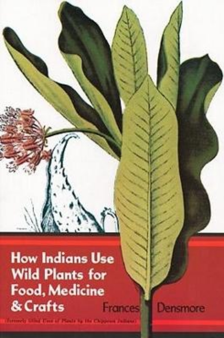 Picture of How Indians Use Wild Plants For Food, Medicine And Crafts