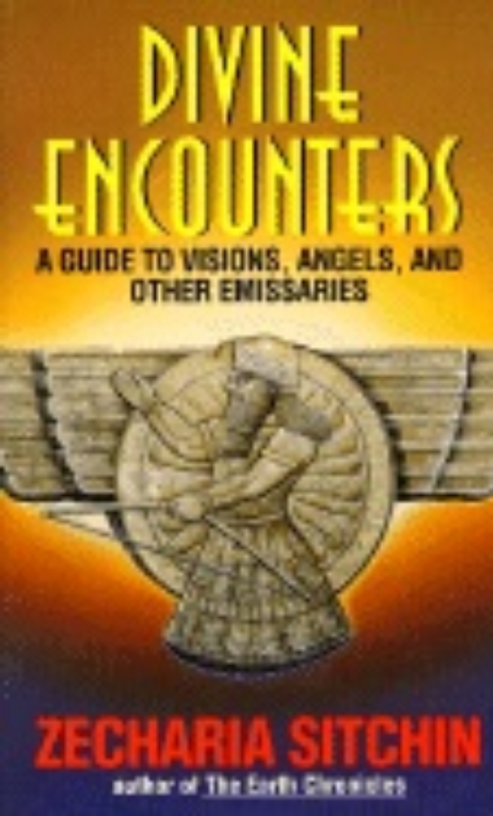 Picture of Divine Encounters: A Guide To Visions, Angels & Other Emissa