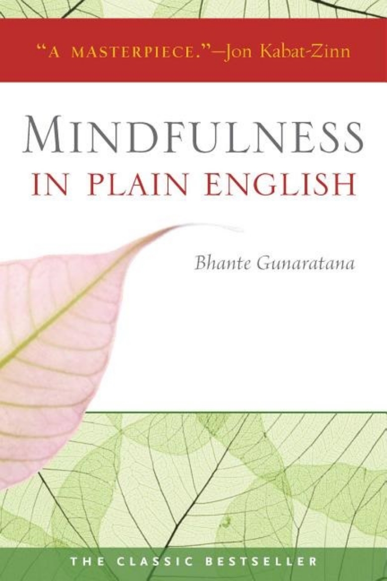 Picture of Mindfulness in plain english