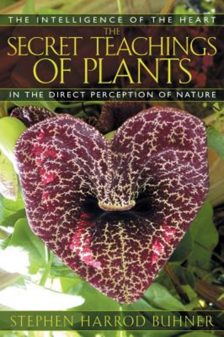 Picture of Secret teachings of plants - the intelligence of the heart in direct percep