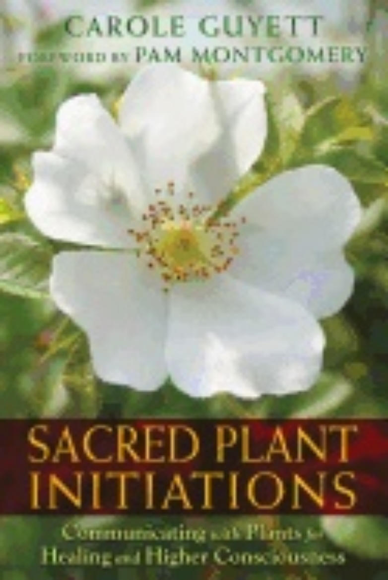 Picture of Sacred plant initiations - communicating with plants for healing and higher