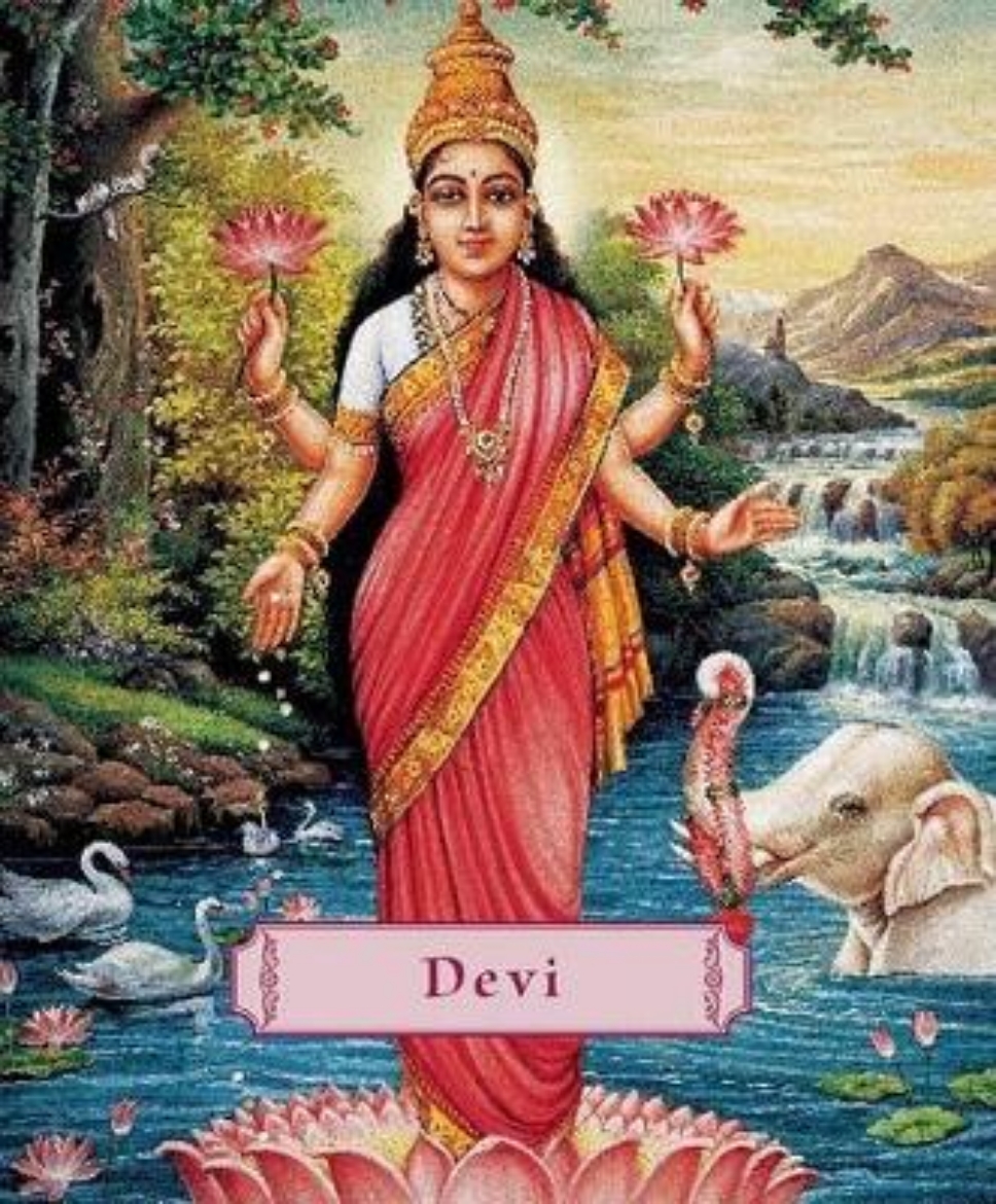 Picture of Devi: The Divine Goddess (Pocket-Sized) (H)