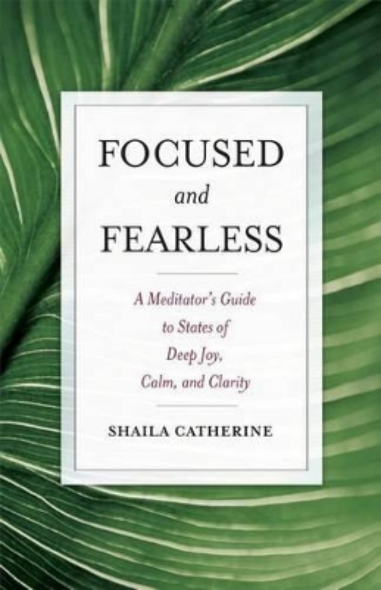 Picture of Focused and fearless - a meditators guide to states of deep joy, calm, and